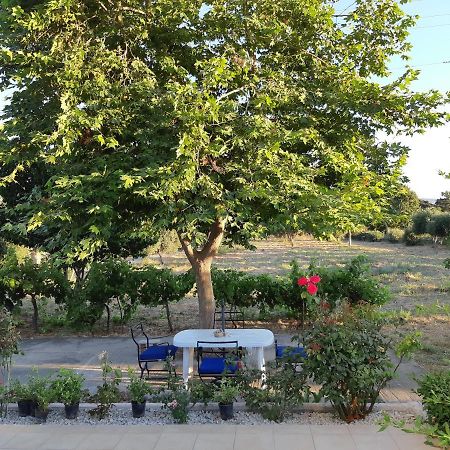 Вилла Swan House Panoramic View - Near The Sea Ziparion Экстерьер фото