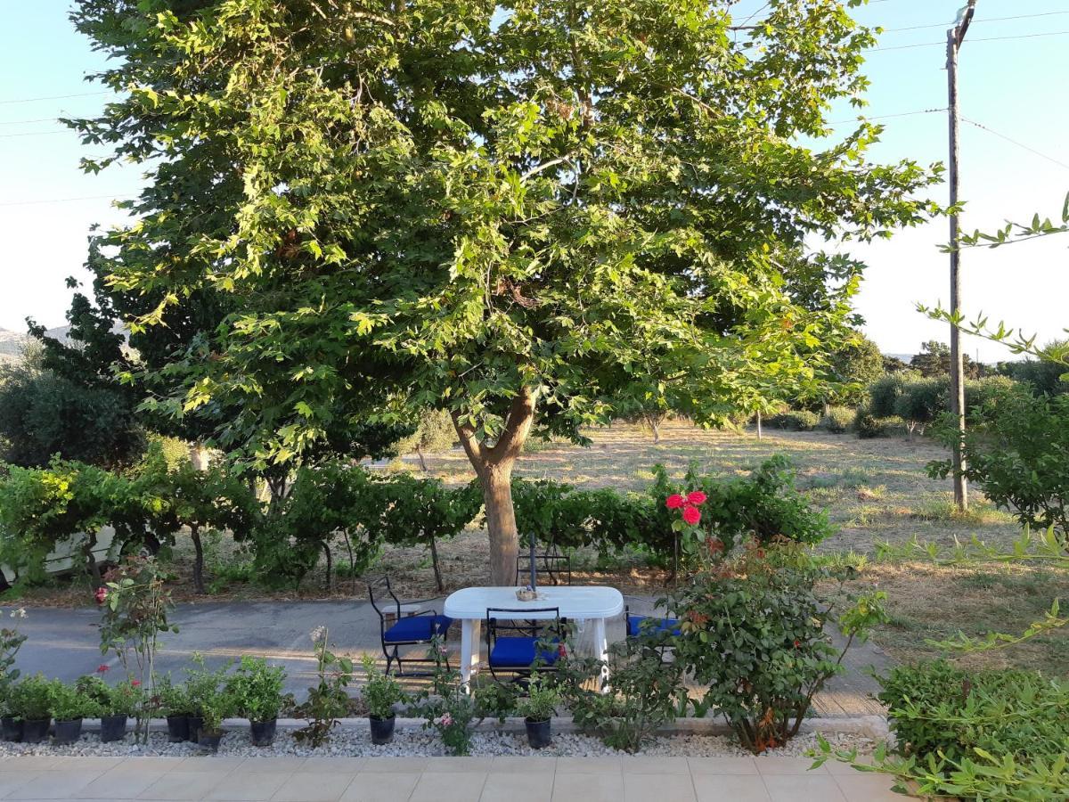 Вилла Swan House Panoramic View - Near The Sea Ziparion Экстерьер фото