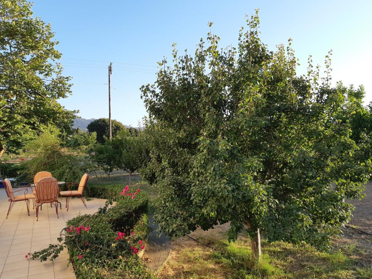 Вилла Swan House Panoramic View - Near The Sea Ziparion Экстерьер фото